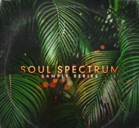 The Sample Lab Soul Spectrum Vol.1 (Compositions and Stems) WAV